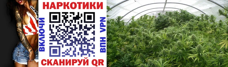 Где купить наркотики Шахунья Марихуана  kraken tor  Alpha PVP  Гашиш  Кокаин  МЕФ 