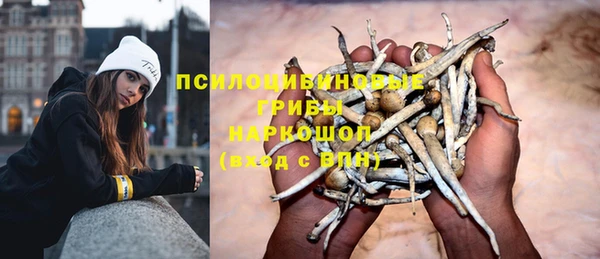 герыч Белокуриха