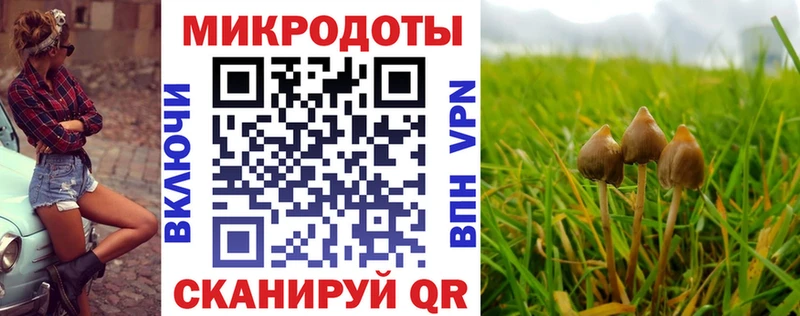 Псилоцибиновые грибы Psilocybine cubensis Шахунья