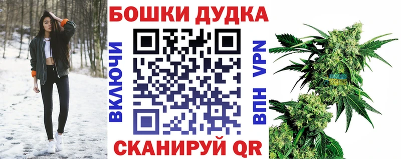 Бошки марихуана LSD WEED купить Шахунья